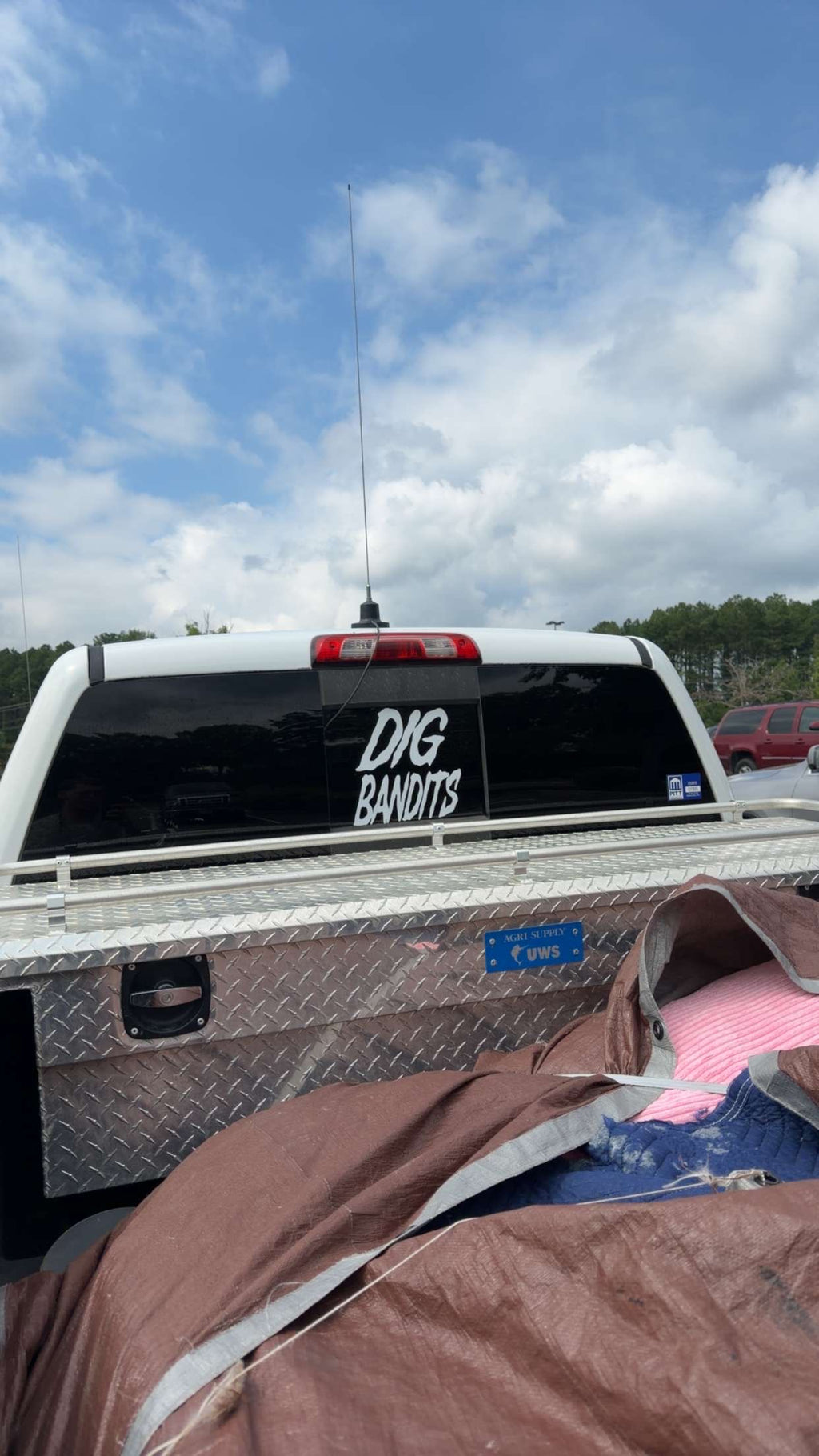 Dig Bandits decal