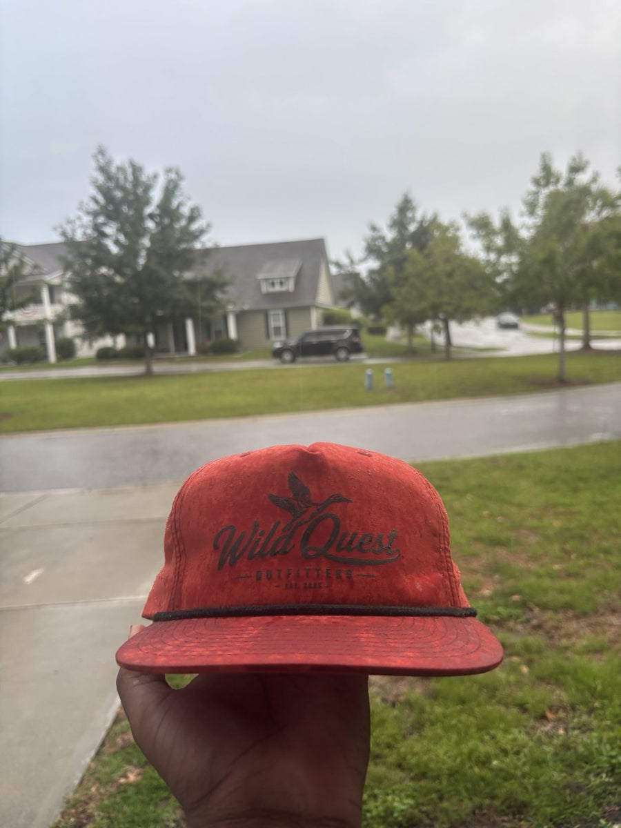Rainy days